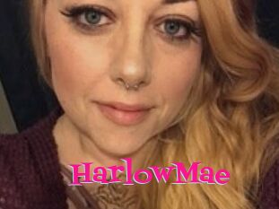 Harlow_Mae