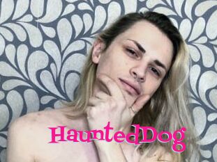 HauntedDog