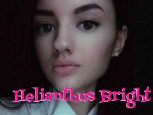 Helianthus_Bright
