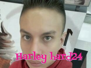 Harley_hard24