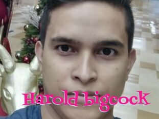 Harold_bigcock