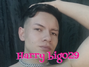 Harry_big029