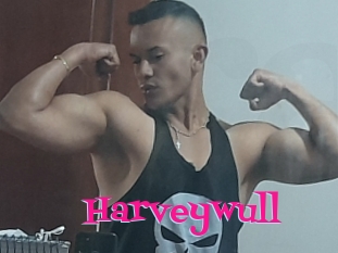 Harveywull