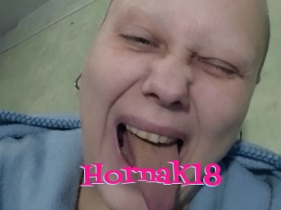 Hornak18