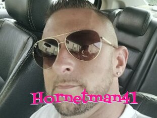 Hornetman41