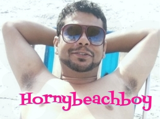 Hornybeachboy