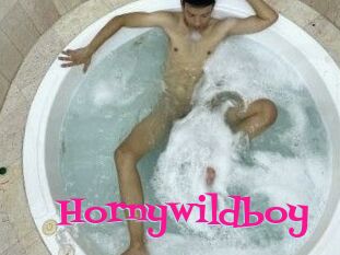 Hornywildboy