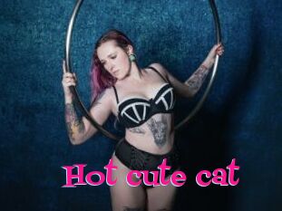 Hot_cute_cat