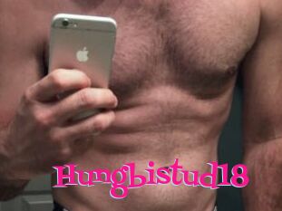 Hungbistud18