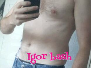 Igor_bash