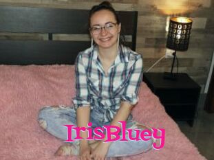 IrisBluey