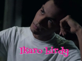 Ikaro_birdy