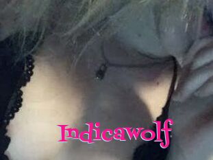 Indicawolf