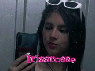 Irissrosse