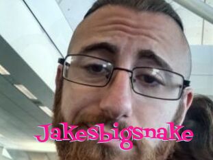 Jakesbigsnake