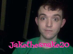 Jakethesnake20