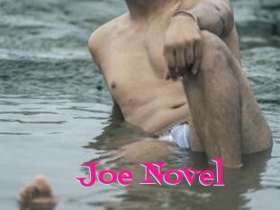 Joe_Novel