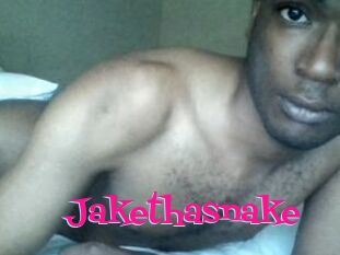 Jake_tha_snake