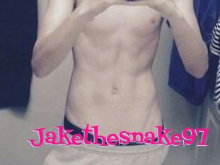 Jakethesnake97