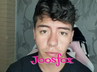 Joosfox