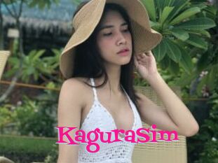 KaguraSim