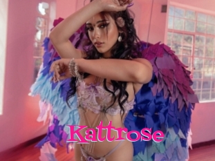 Kattrose