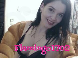 Flamingo1702