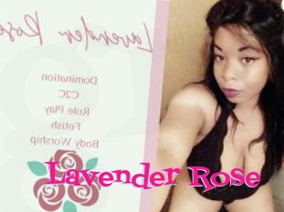 Lavender_Rose