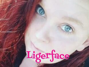 Ligerface