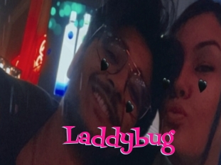 Laddybug