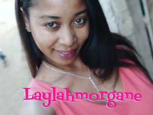 Laylahmorgane