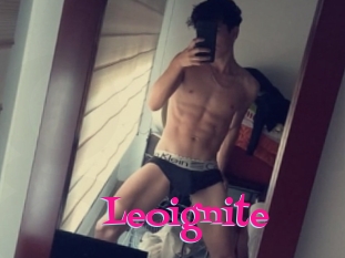 Leoignite