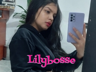 Lilybosse