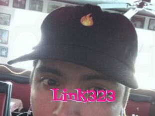 Link323