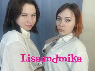 Lisaandmika