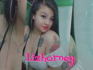 Lizhorney