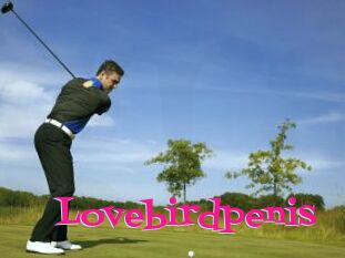 Lovebirdpenis