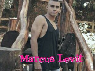 Marcus_Levit