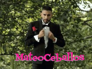 MateoCeballos