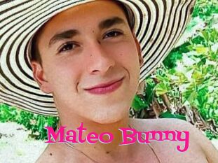 Mateo_Bunny