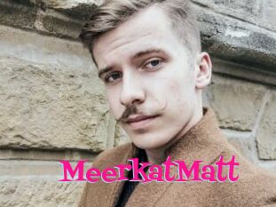 MeerkatMatt