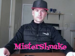 MisterShnake