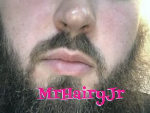 MrHairyJr