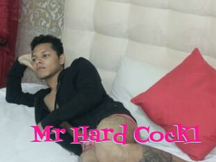 Mr_Hard_Cock1