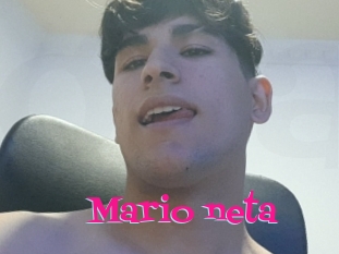 Mario_neta