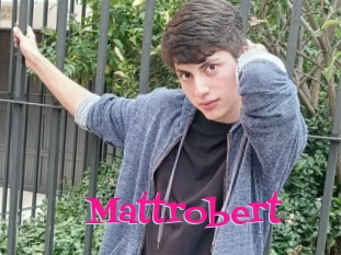 Mattrobert