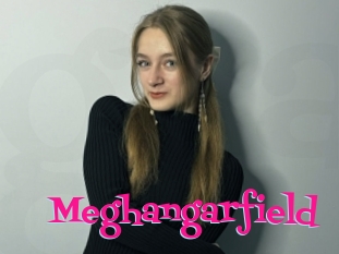 Meghangarfield