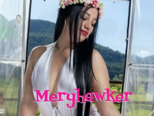 Meryhawker