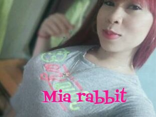 Mia_rabbit