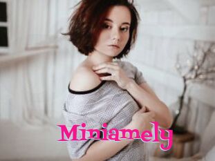 Miniamely